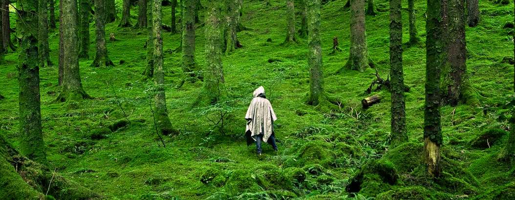 slider background image